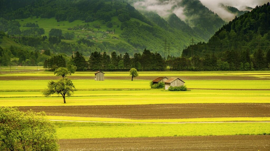 Landscape Meadow Field Switzerland 