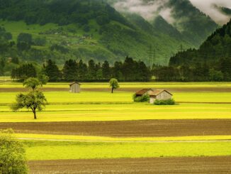 Landscape Meadow Field Switzerland