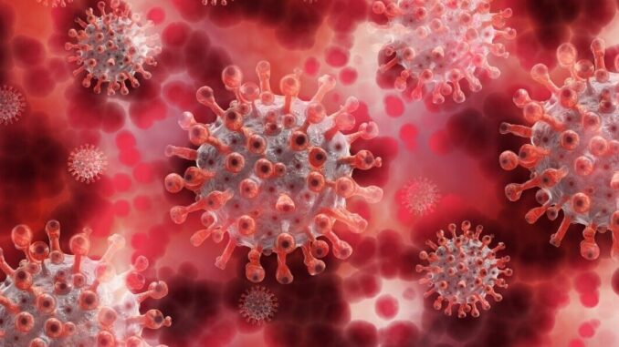 Corona Coronavirus Virus Blood  - geralt / Pixabay