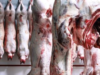 Animal Carcass Cold Room Butcher  - MIKELANGE / Pixabay
